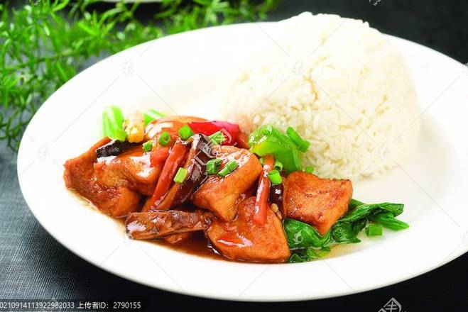 Vegetable Fried Tofu Rice时菜豆腐饭